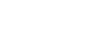 Stihl_Logo 300